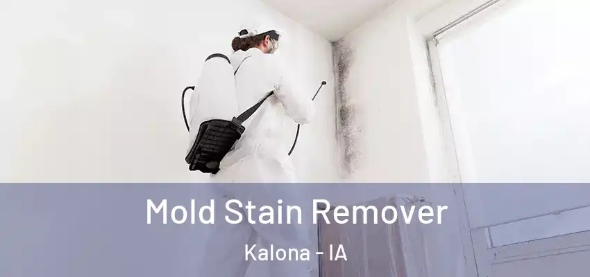Mold Stain Remover Kalona - IA