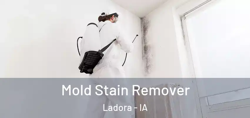  Mold Stain Remover Ladora - IA