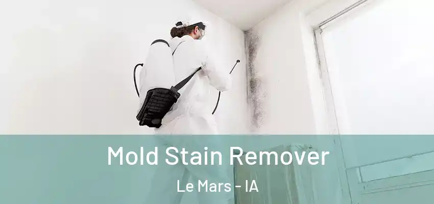 Mold Stain Remover Le Mars - IA