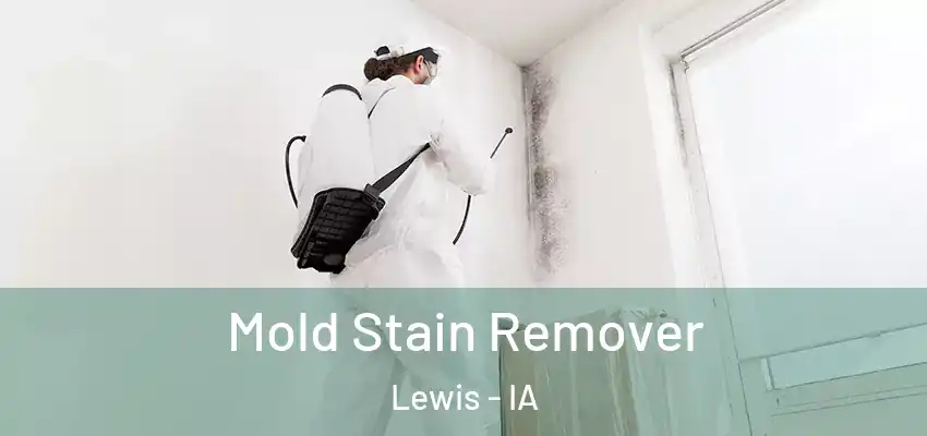 Mold Stain Remover Lewis - IA