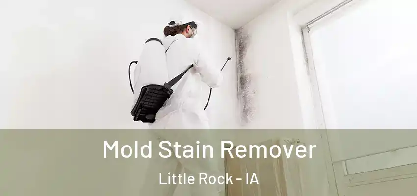  Mold Stain Remover Little Rock - IA