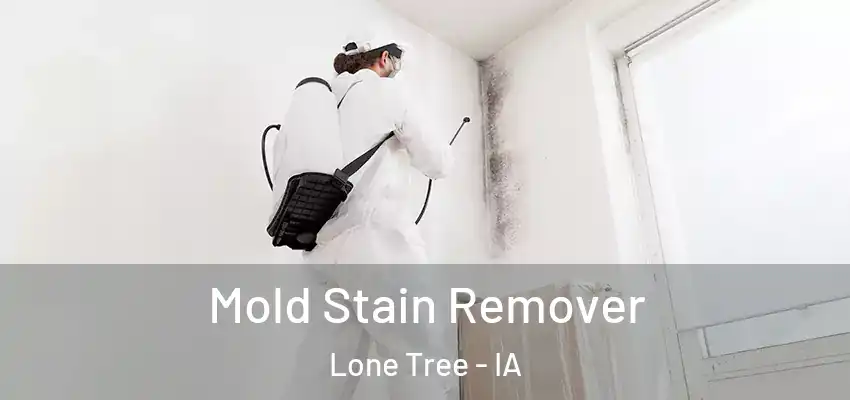  Mold Stain Remover Lone Tree - IA