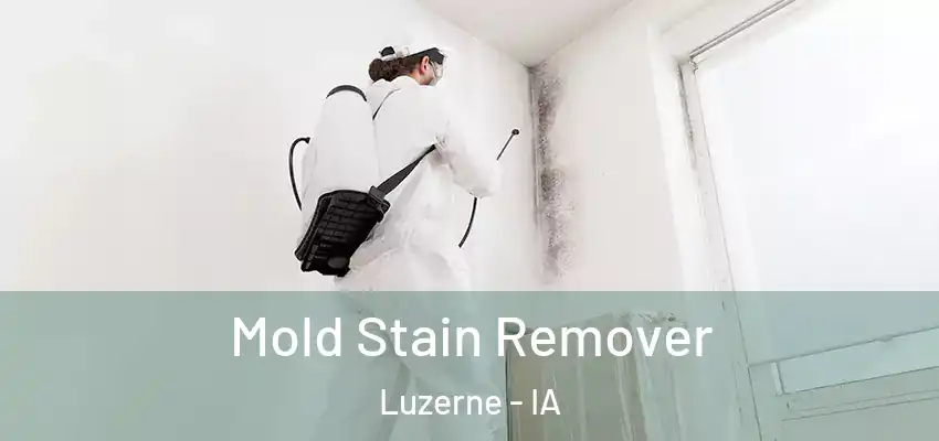 Mold Stain Remover Luzerne - IA
