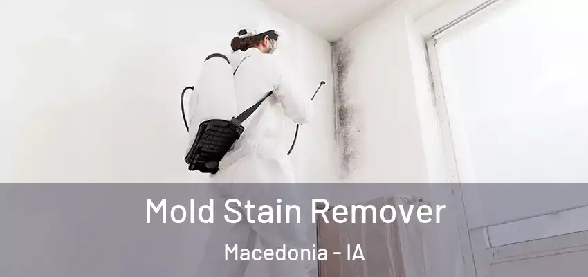  Mold Stain Remover Macedonia - IA