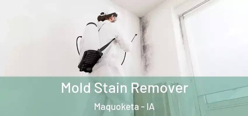  Mold Stain Remover Maquoketa - IA