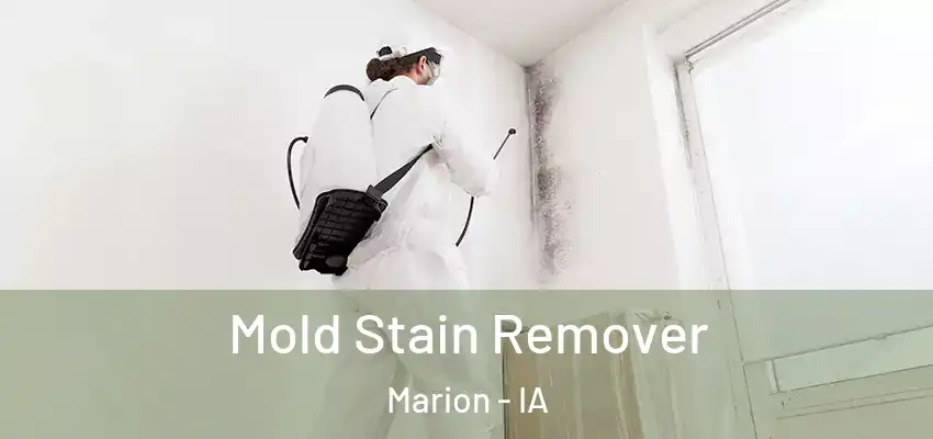 Mold Stain Remover Marion - IA