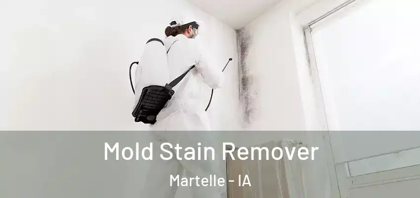  Mold Stain Remover Martelle - IA