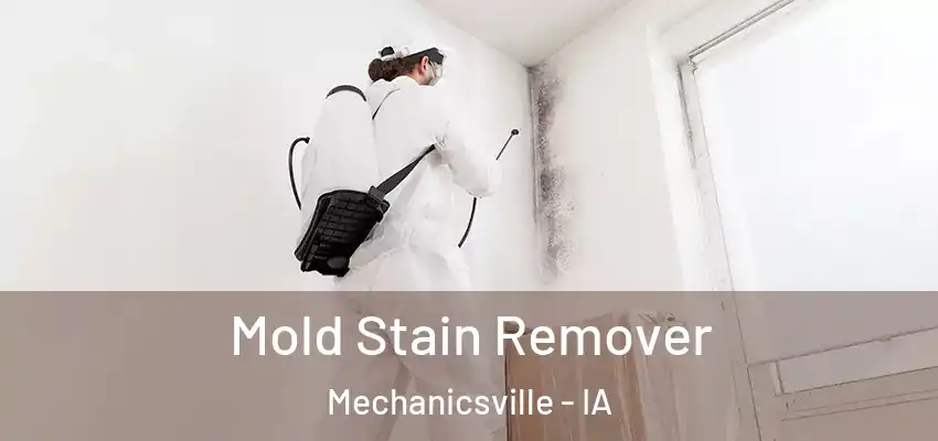  Mold Stain Remover Mechanicsville - IA