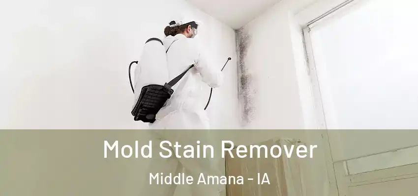 Mold Stain Remover Middle Amana - IA