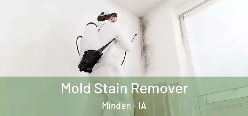Mold Stain Remover Minden - IA