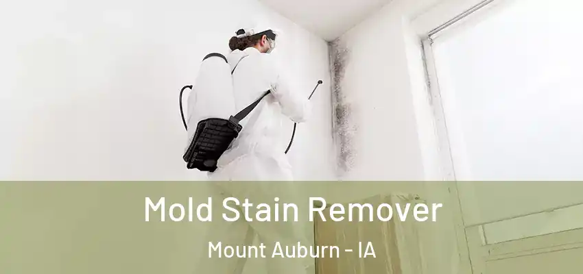  Mold Stain Remover Mount Auburn - IA