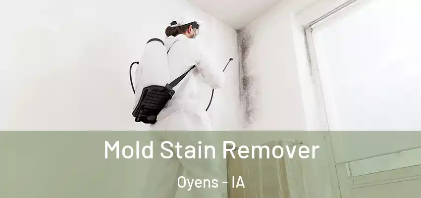 Mold Stain Remover Oyens - IA