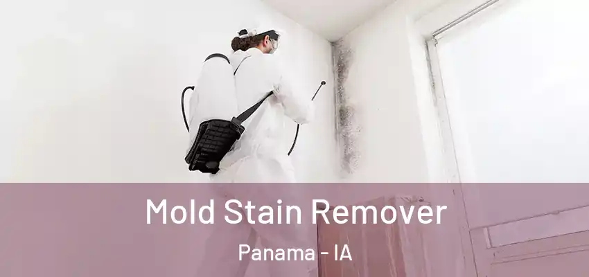 Mold Stain Remover Panama - IA
