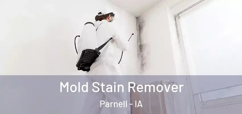 Mold Stain Remover Parnell - IA
