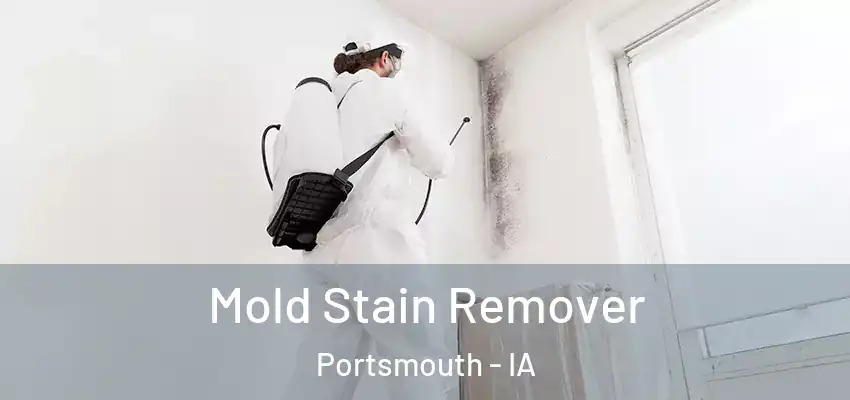Mold Stain Remover Portsmouth - IA