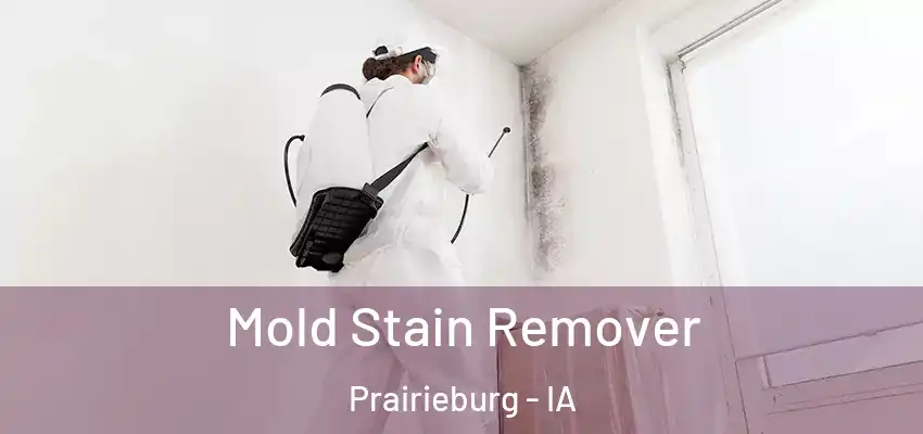  Mold Stain Remover Prairieburg - IA