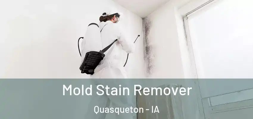  Mold Stain Remover Quasqueton - IA