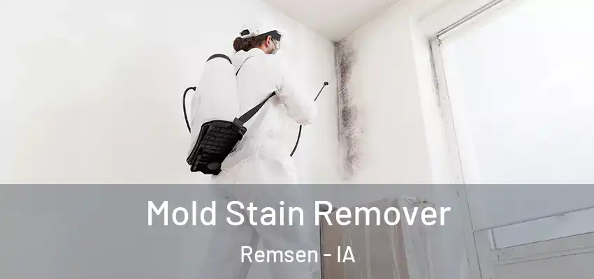  Mold Stain Remover Remsen - IA