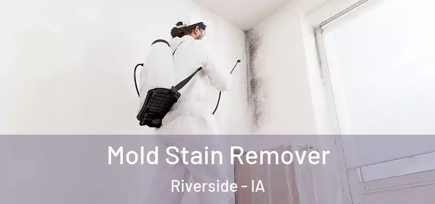 Mold Stain Remover Riverside - IA