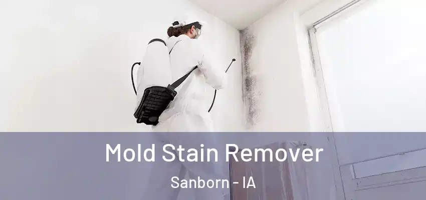  Mold Stain Remover Sanborn - IA