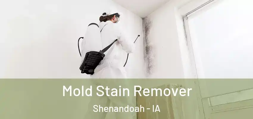  Mold Stain Remover Shenandoah - IA