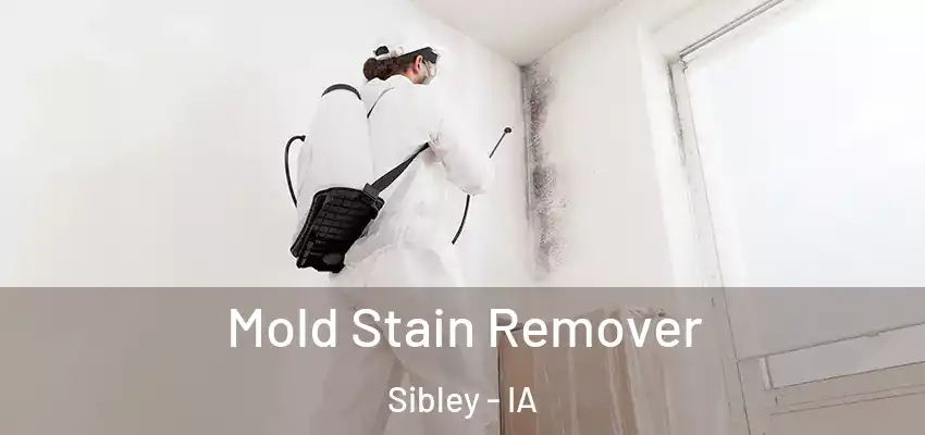  Mold Stain Remover Sibley - IA