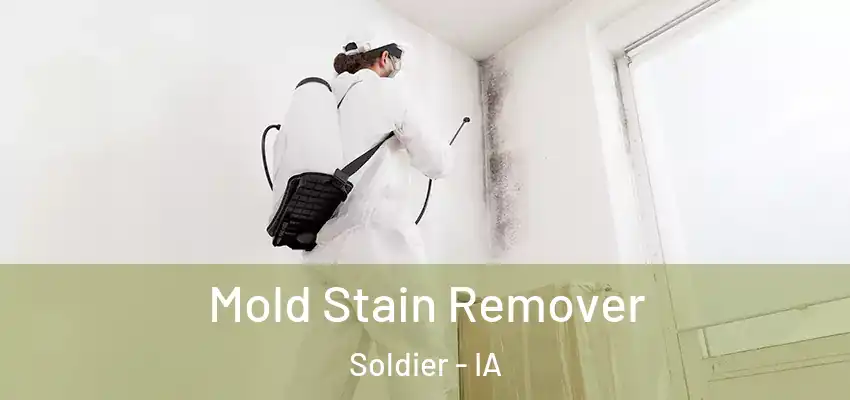 Mold Stain Remover Soldier - IA