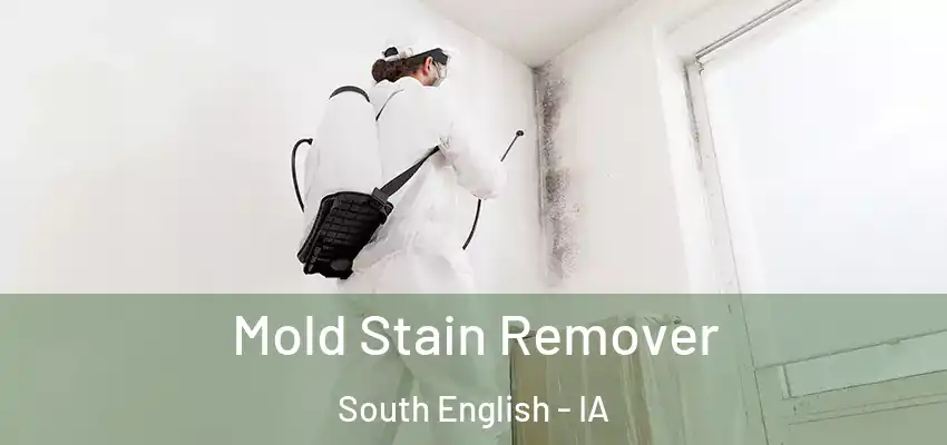 Mold Stain Remover South English - IA