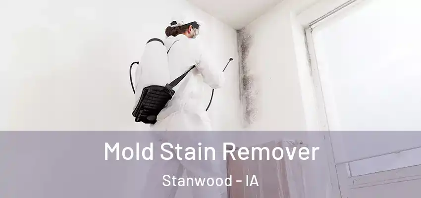  Mold Stain Remover Stanwood - IA