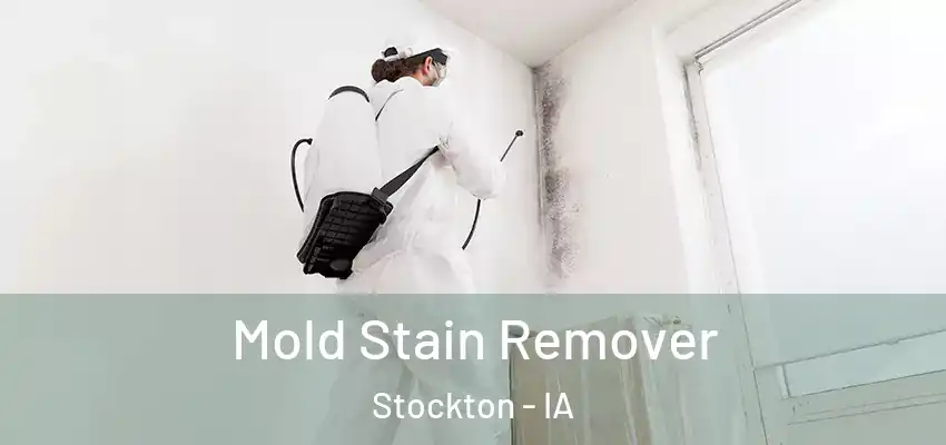 Mold Stain Remover Stockton - IA