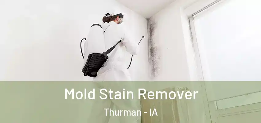 Mold Stain Remover Thurman - IA
