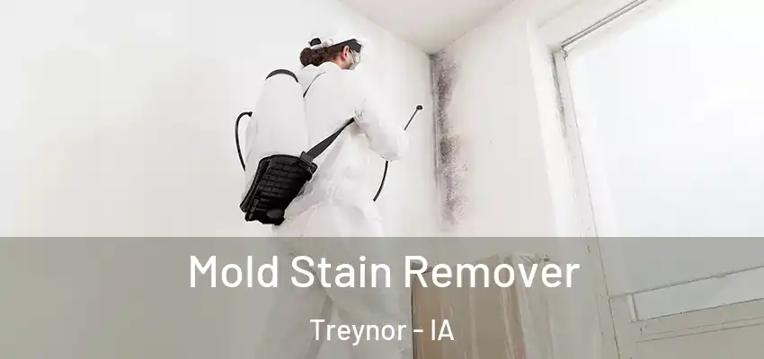  Mold Stain Remover Treynor - IA