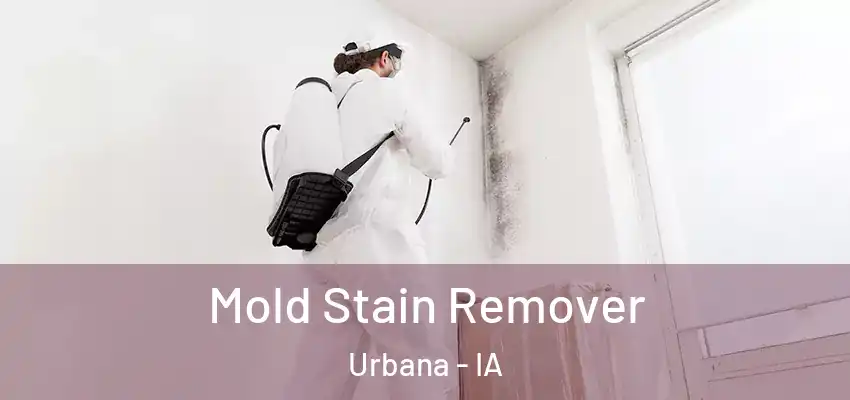  Mold Stain Remover Urbana - IA