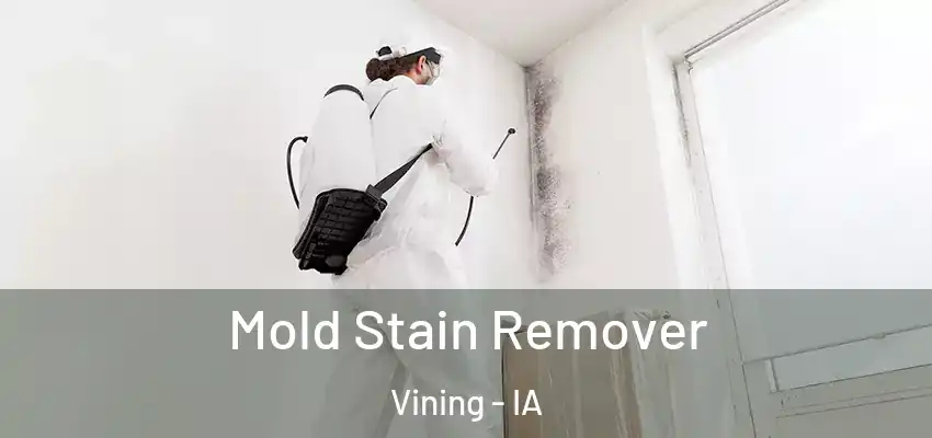 Mold Stain Remover Vining - IA