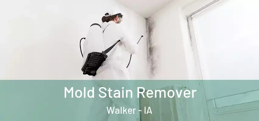 Mold Stain Remover Walker - IA