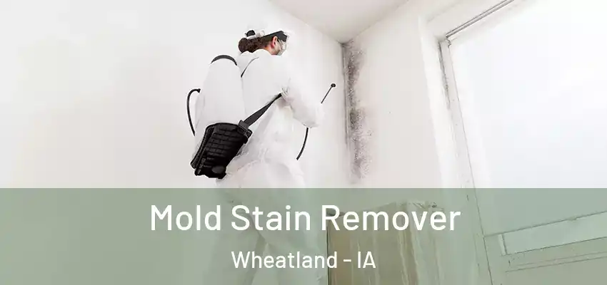  Mold Stain Remover Wheatland - IA