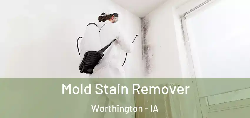  Mold Stain Remover Worthington - IA