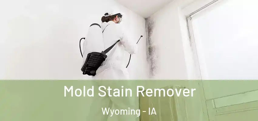 Mold Stain Remover Wyoming - IA