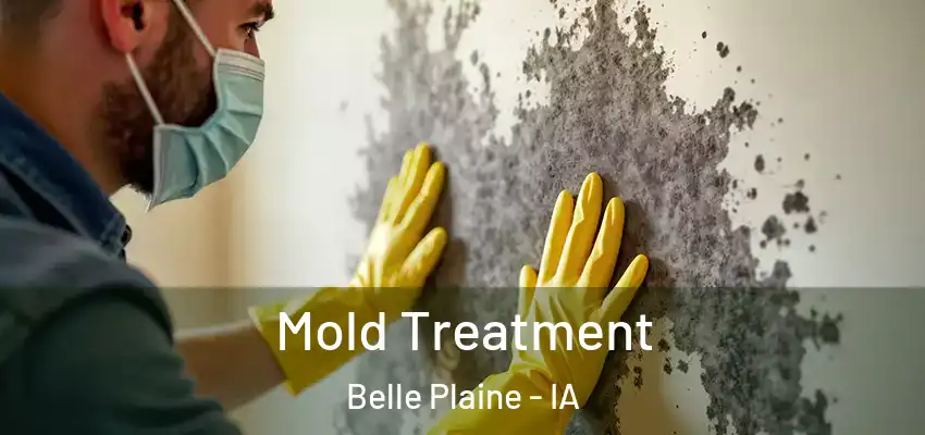  Mold Treatment Belle Plaine - IA