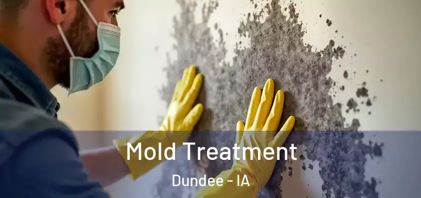  Mold Treatment Dundee - IA