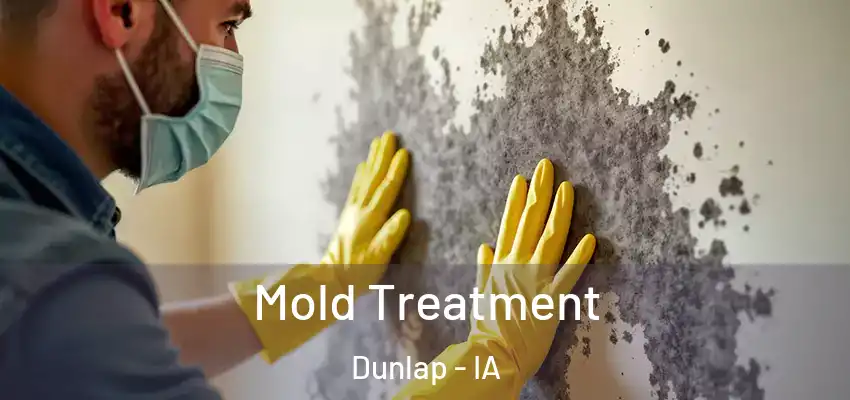  Mold Treatment Dunlap - IA