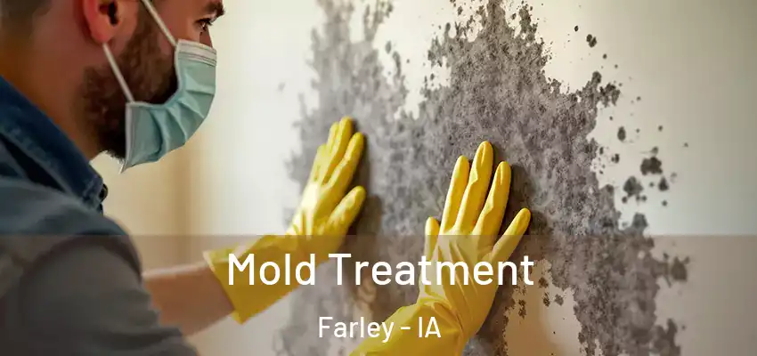 Mold Treatment Farley - IA