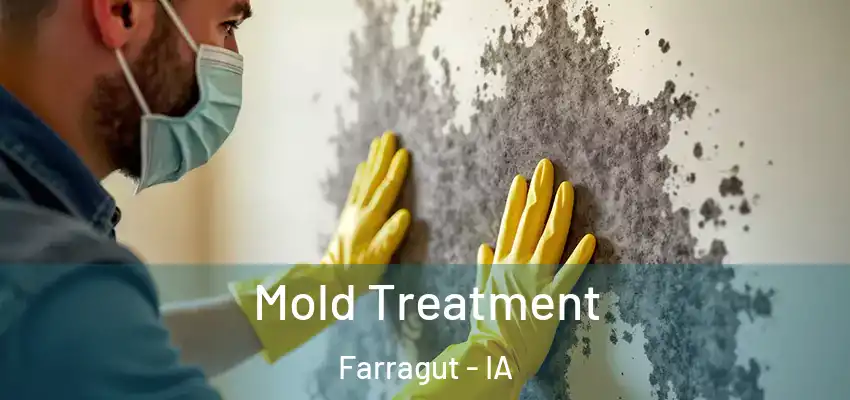  Mold Treatment Farragut - IA