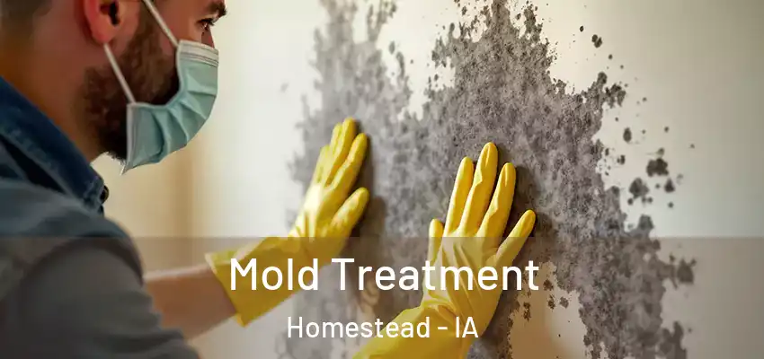  Mold Treatment Homestead - IA