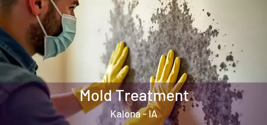  Mold Treatment Kalona - IA