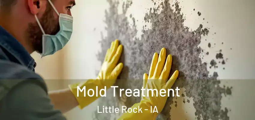 Mold Treatment Little Rock - IA