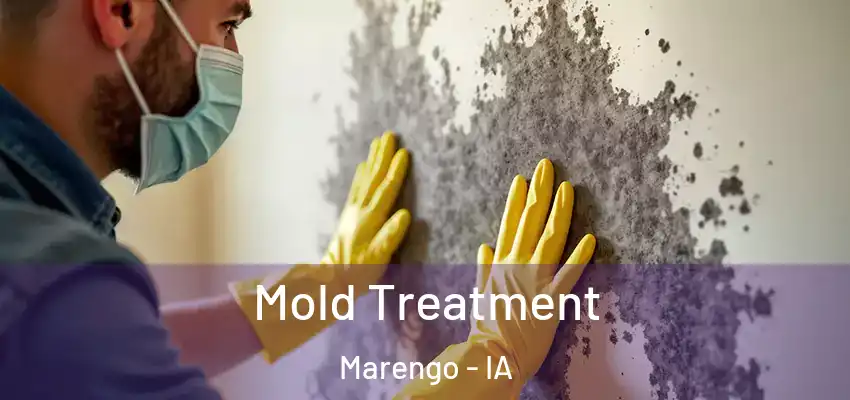  Mold Treatment Marengo - IA