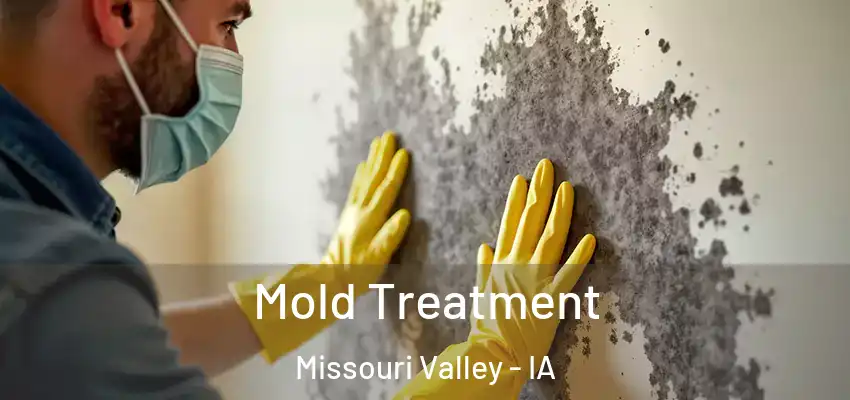  Mold Treatment Missouri Valley - IA