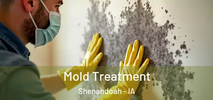 Mold Treatment Shenandoah - IA
