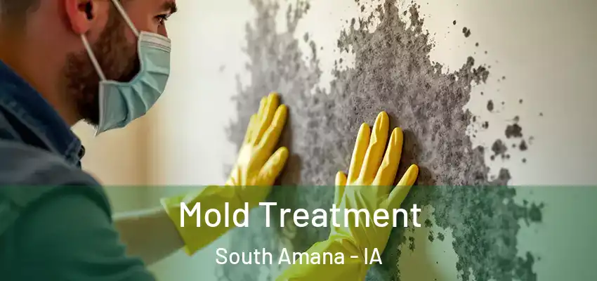 Mold Treatment South Amana - IA